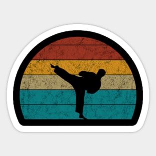 Vintage karate Sticker